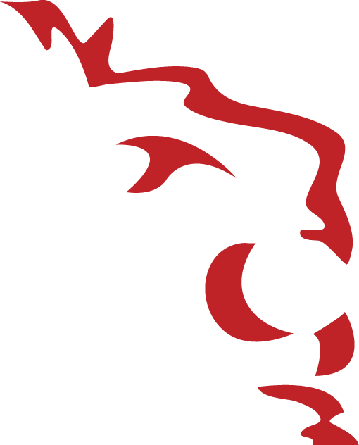 Miami Marketing Agency & Public Relations Firm - Roar Media